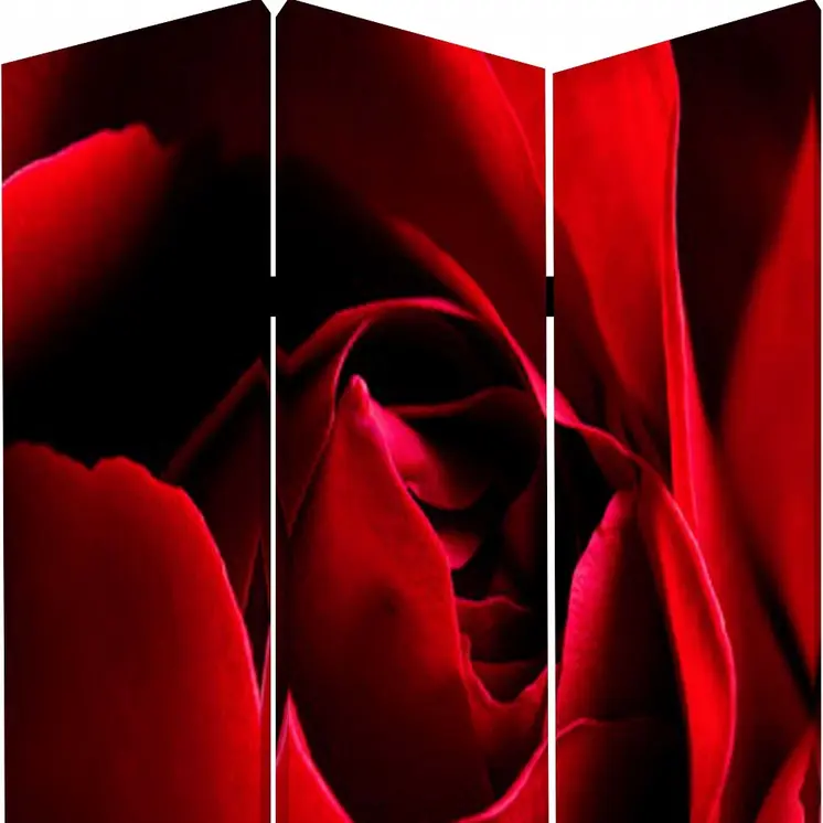 48 X 72 Multi Color Wood Canvas Rose  Screen