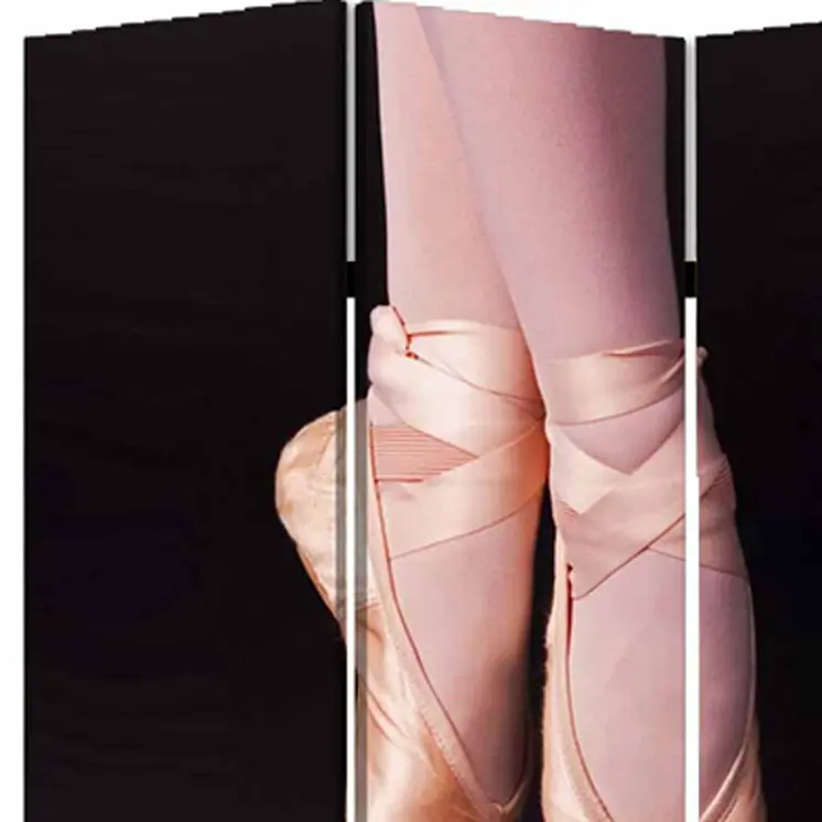 48" X 72" Multi Color Wood Canvas Ballet  Screen