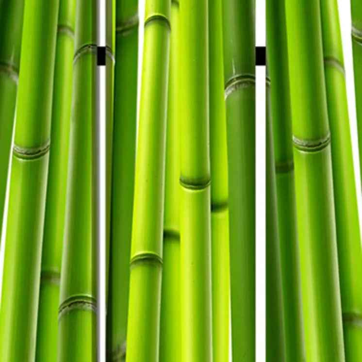 48" X 72" Multi Color Wood Canvas Bamboo  Screen