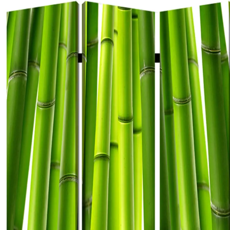 48" X 72" Multi Color Wood Canvas Bamboo  Screen