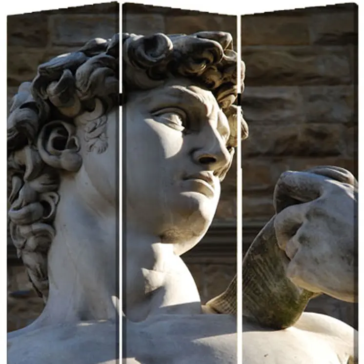 48" X 72" Multi Color Wood Canvas Rome  Screen