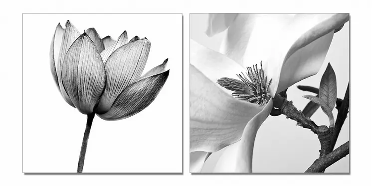 Set of Two White Canvas Square Framed Art