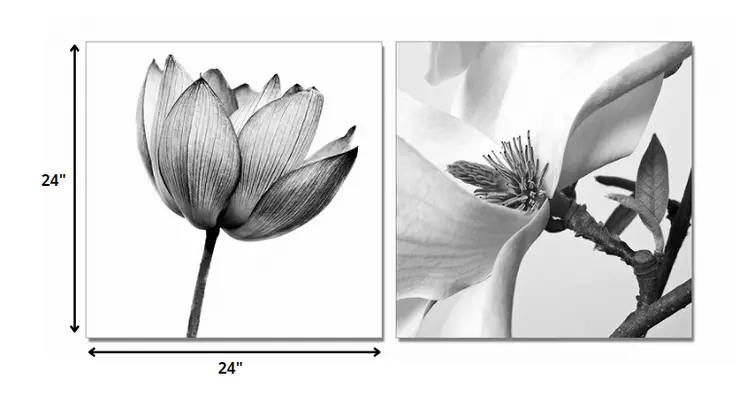 Set of Two White Canvas Square Framed Art