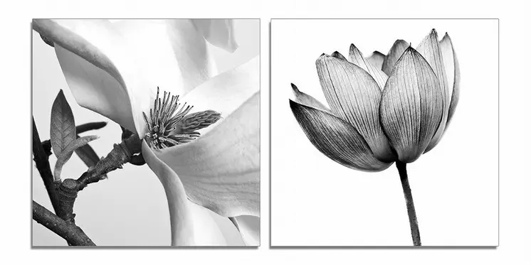Set of Two White Canvas Square Framed Art