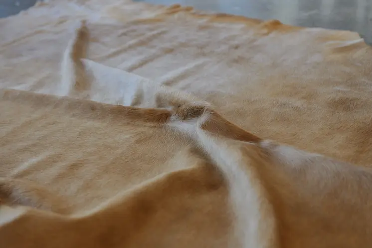 6' X 7' Golden Brown Cowhide Area Rug