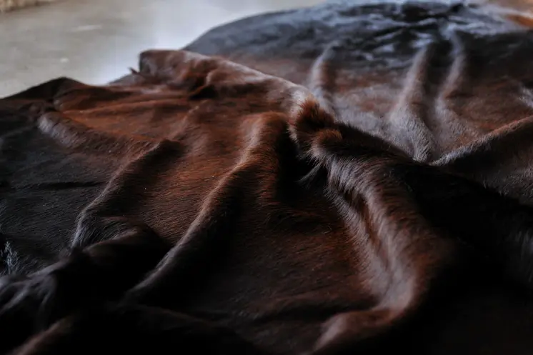 6' X 7' Black And White Cowhide Cowhide Print Area Rug