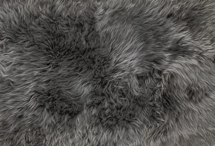 6' Gray Genuine Sheepskin Animal Print Shag Area Rug