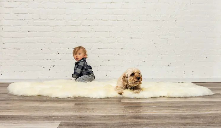 6' Natural Genuine Sheepskin Animal Print Shag Area Rug