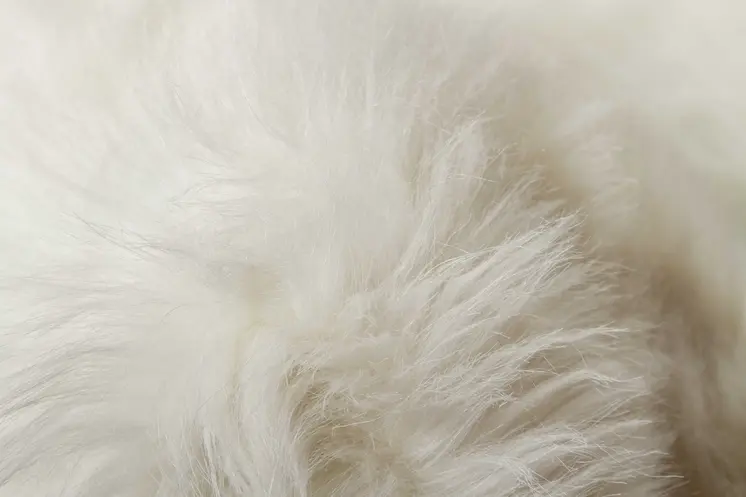 5' X 8' Off White Faux Fur Area Rug