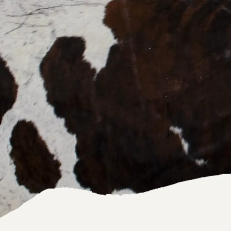 6' X 7' Brown And White Cowhide Cowhide Print Area Rug