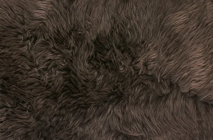 2' X 3' Chocolate Genuine Sheepskin Shag Area Rug