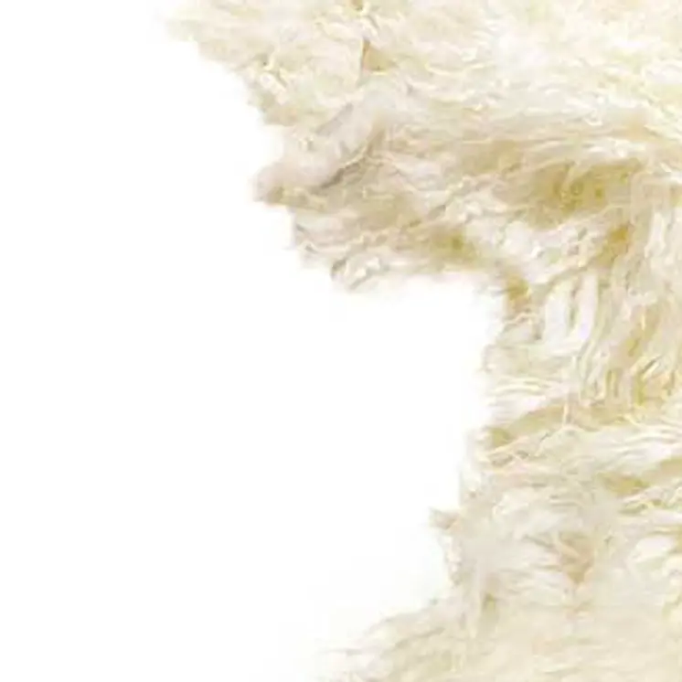 2' X 3' Natural New Zealand Sheepskin Wool Area Rug