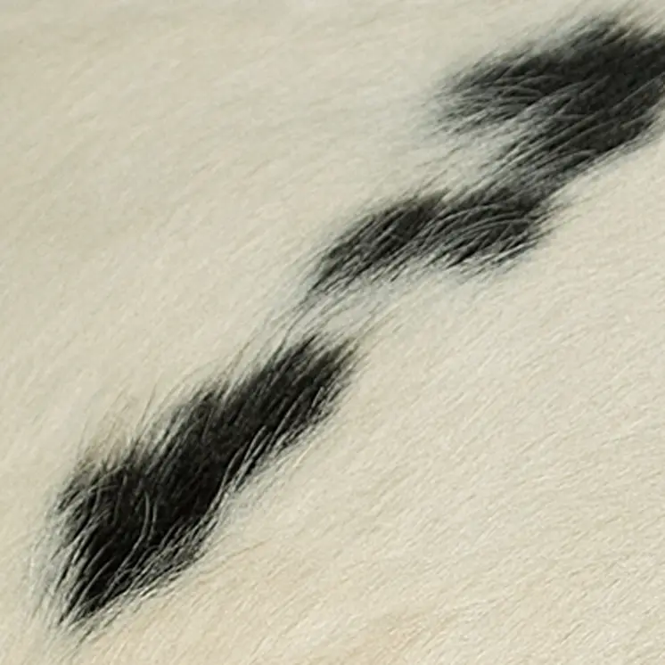 18" White And Black Cowhide Throw Pillow