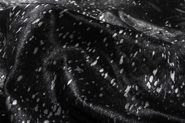 6' X 7' Black And Silver Cowhide Animal Print Area Rug