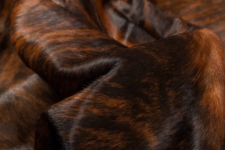 6' X 7' Brown And Black Cowhide Cowhide Print Area Rug