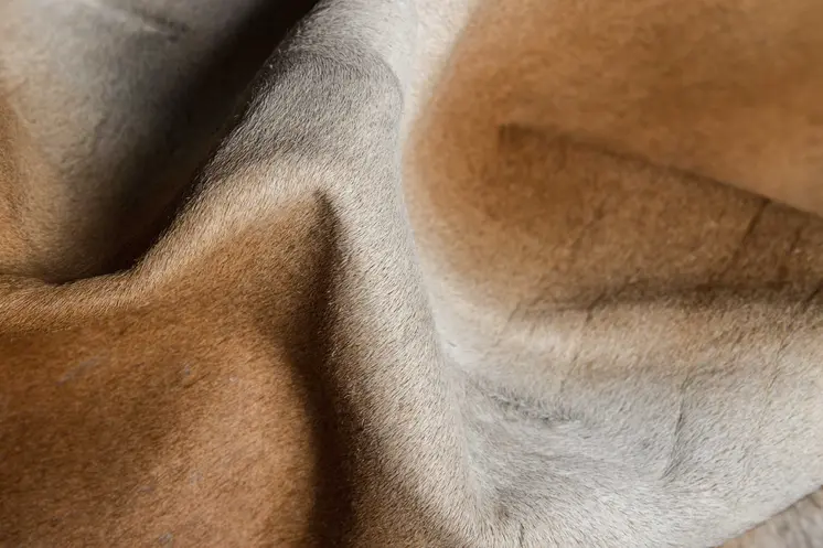 6' X 7' Brown And Black Cowhide Area Rug