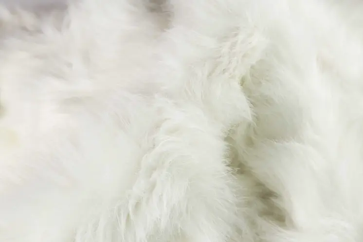6' X 6' Off White Faux Fur Area Rug