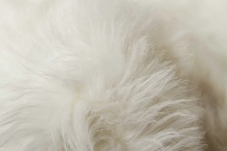 6' X 6' Off White Faux Fur Shag Washable Round Rug