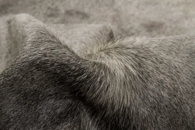 5' X 7' Gray Cowhide Area Rug