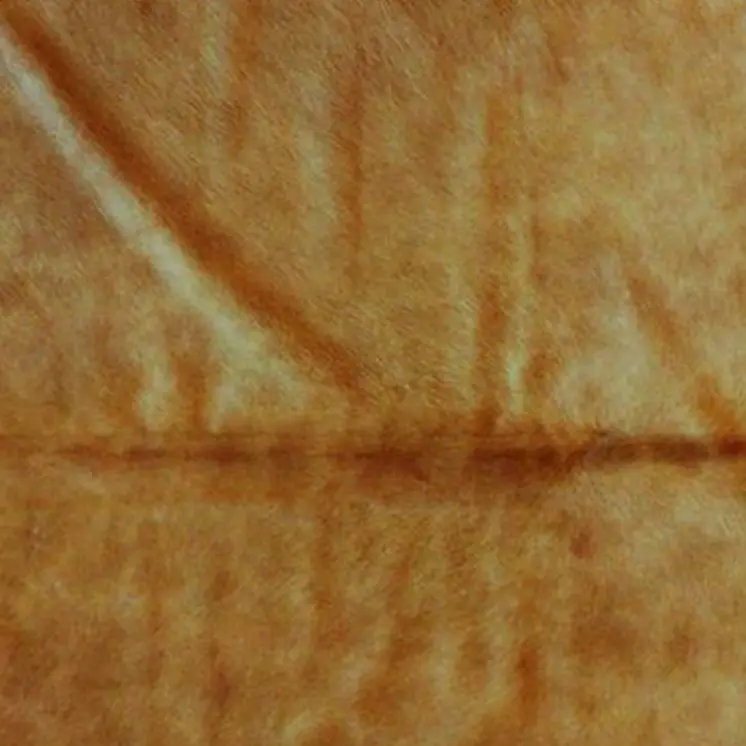 5' X 7' Tan Cowhide Area Rug