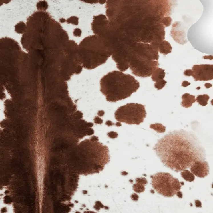 5' X 7' Brown And White Cowhide Cowhide Print Area Rug