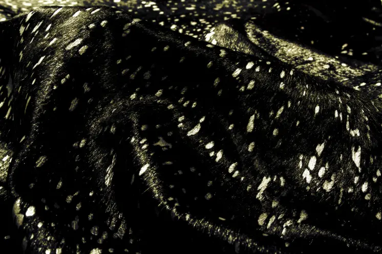 5' X 7' Black And Gold Cowhide Cowhide Print Area Rug