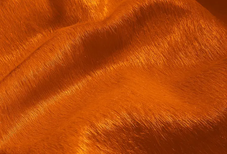 5' X 7' Orange Cowhide Area Rug