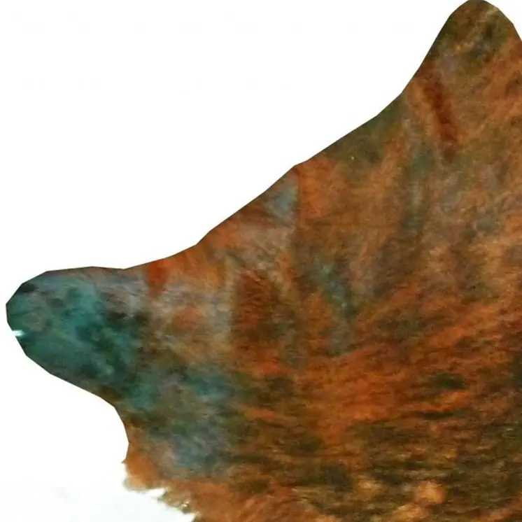 6' X 7' Brown And White Cowhide Handmade Area Rug