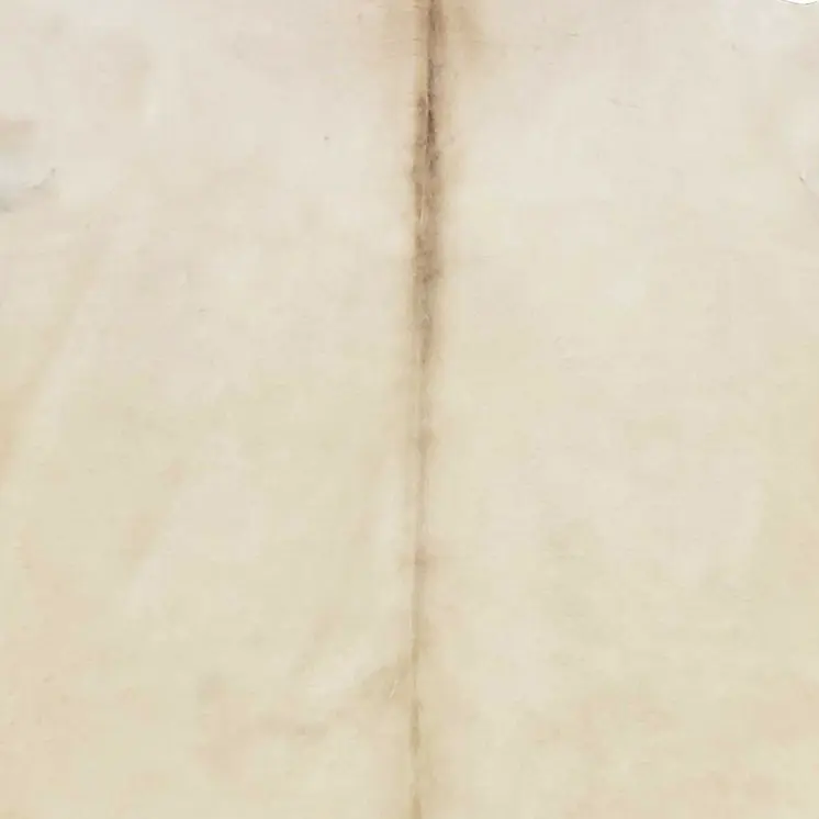 6' X 7' Champagne Cowhide Handmade Area Rug
