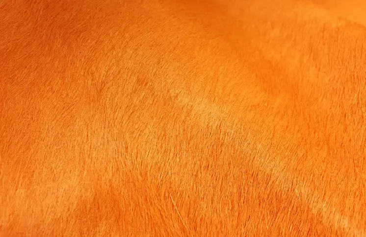 6' X 7' Orange Cowhide Handmade Area Rug