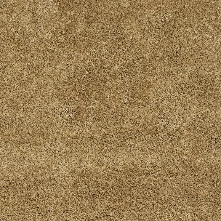 8' X 10' Gold Shag Hand Woven Area Rug