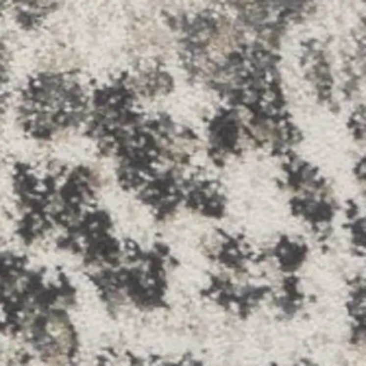 9' X 13' Ivory And Brown Floral Vines Distressed Area Rug