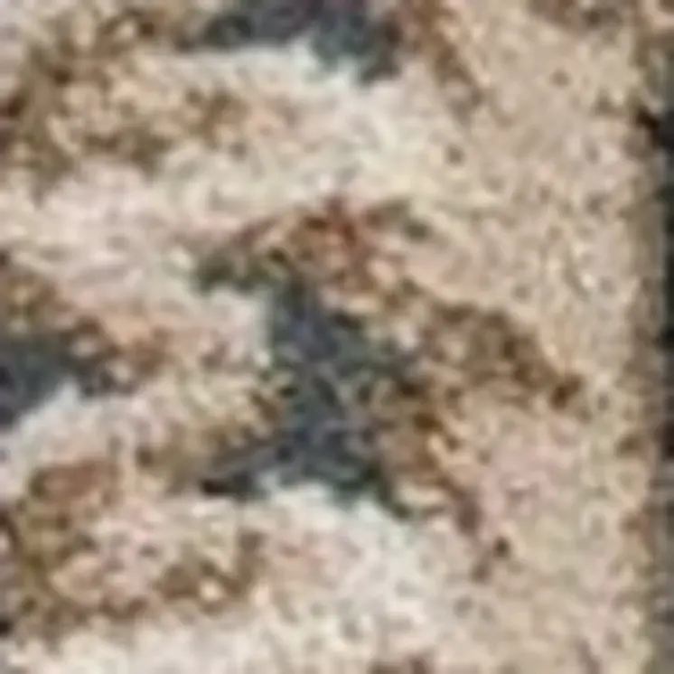 9' X 12' Slate Blue and Ivory Floral Area Rug