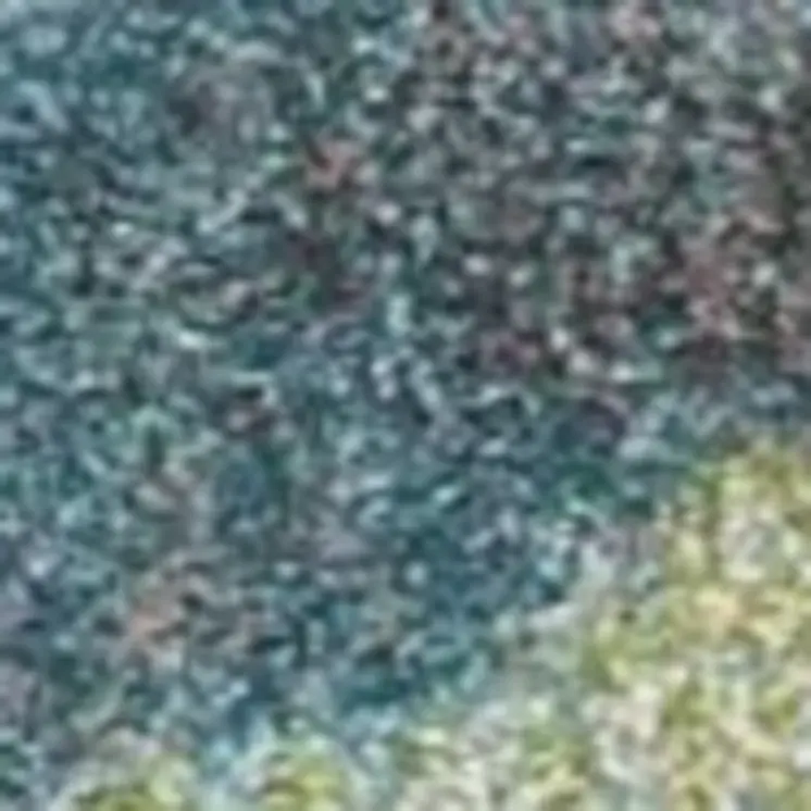 9' X 13'  Polypropylene Blue Or  Green Area Rug