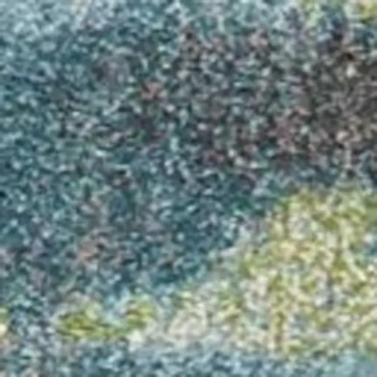9' X 13'  Polypropylene Blue Or  Green Area Rug