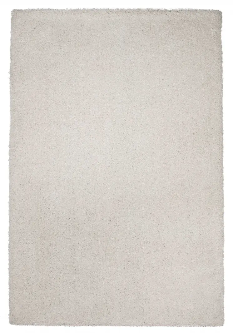 9' X 13' Ivory Hand Woven Area Rug