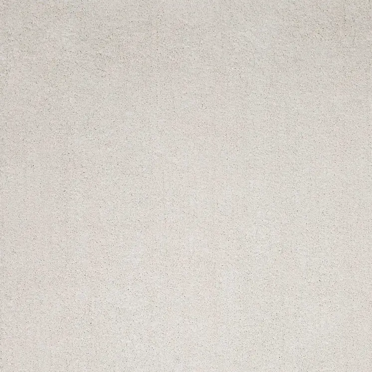 9' X 13' Ivory Hand Woven Area Rug