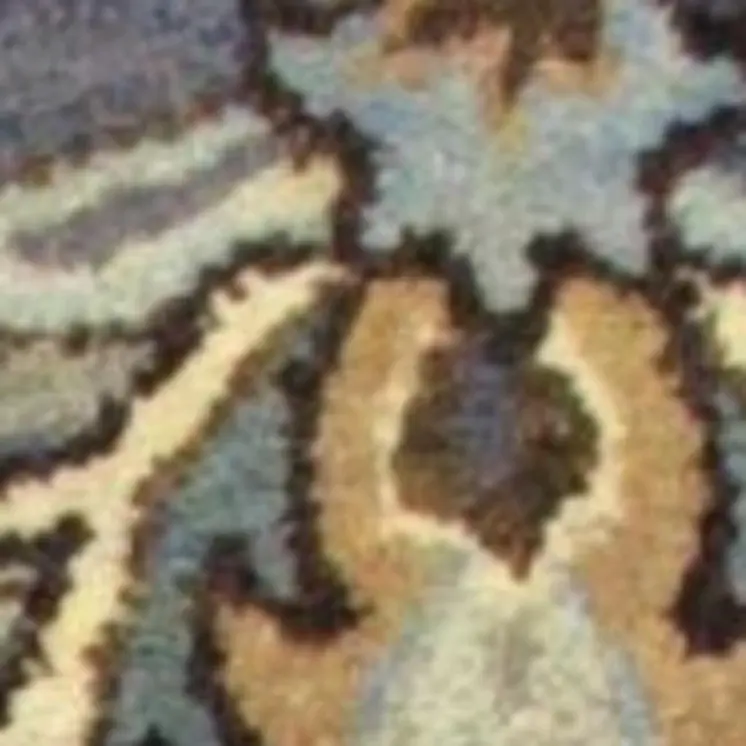 3' X 5' Midnight Floral Vines Wool Area Rug