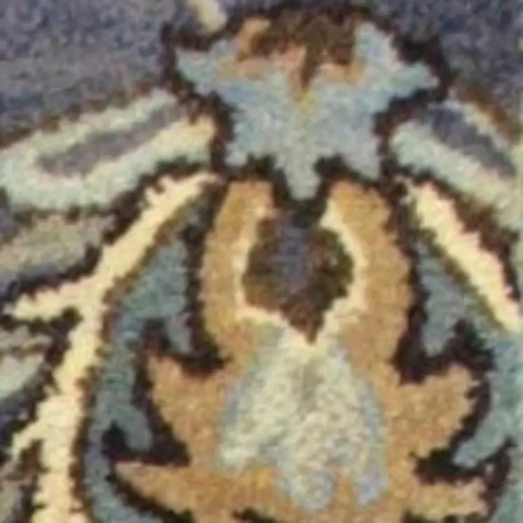 3' X 5' Midnight Floral Vines Wool Area Rug