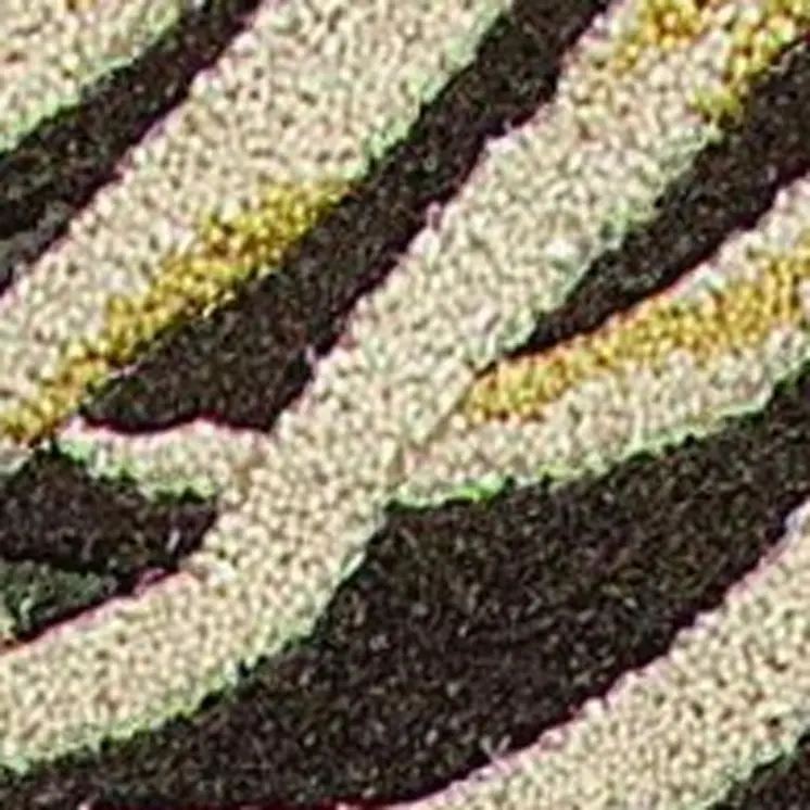 3' X 5' Espresso Fern Leaves Wool Area Rug