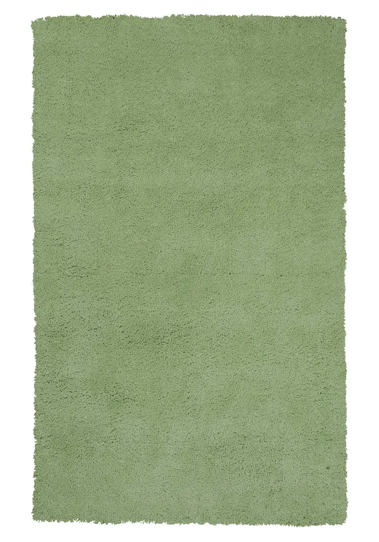 5' X 7' Green Shag Hand Woven Area Rug