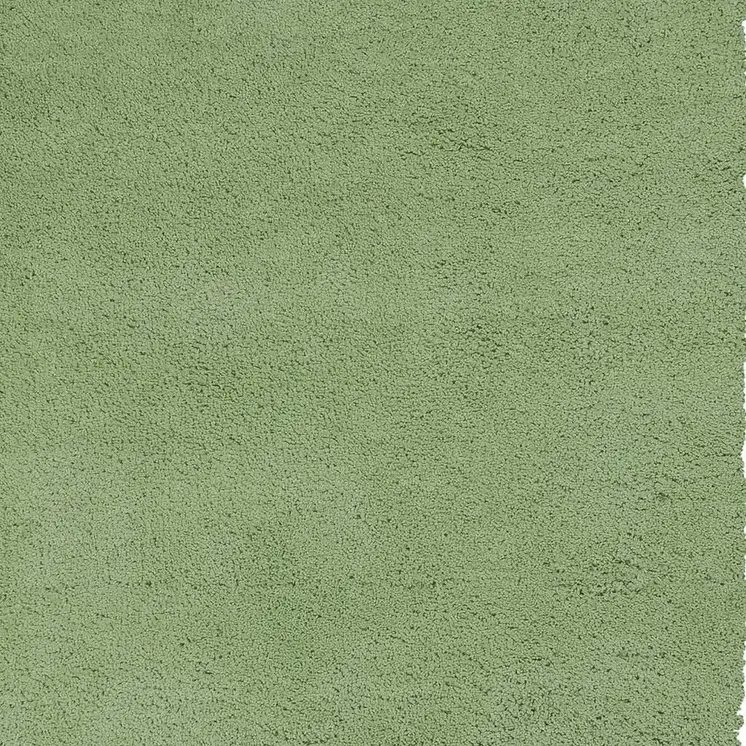 5' X 7' Green Shag Hand Woven Area Rug