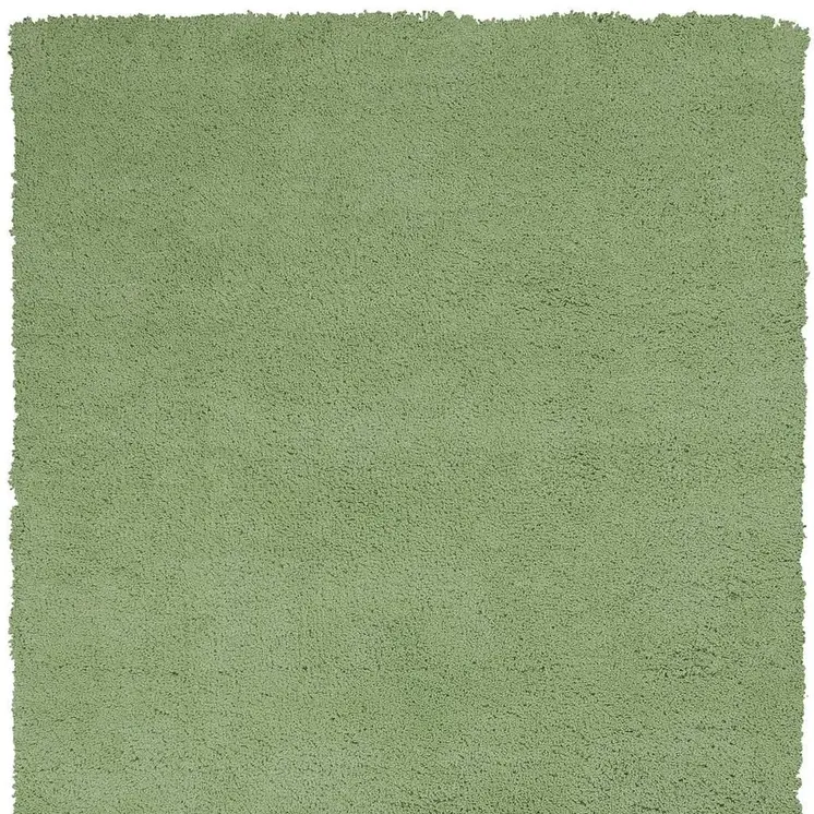 5' X 7' Green Shag Hand Woven Area Rug
