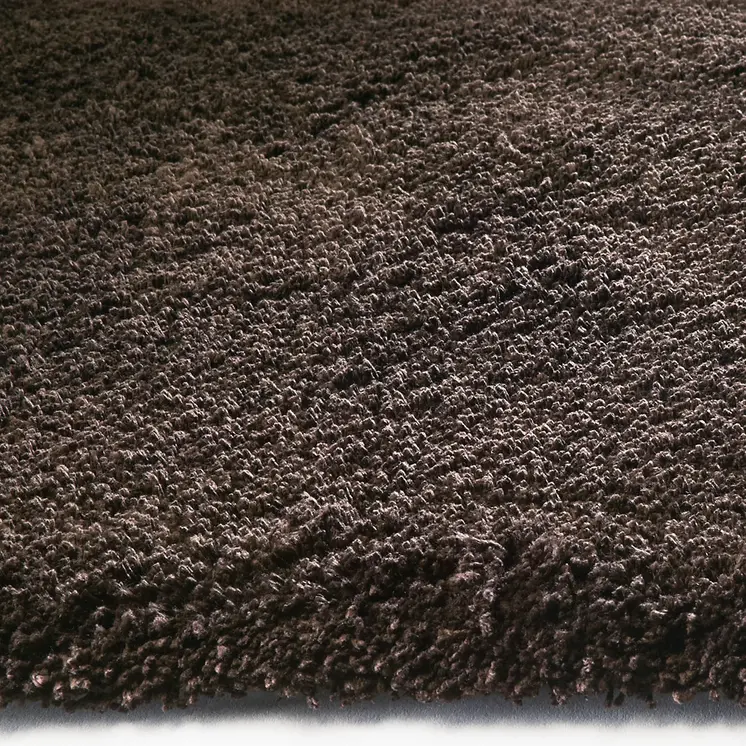 5' X 7' Espresso Indoor Shag Rug