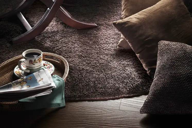 5' X 7' Espresso Indoor Shag Rug