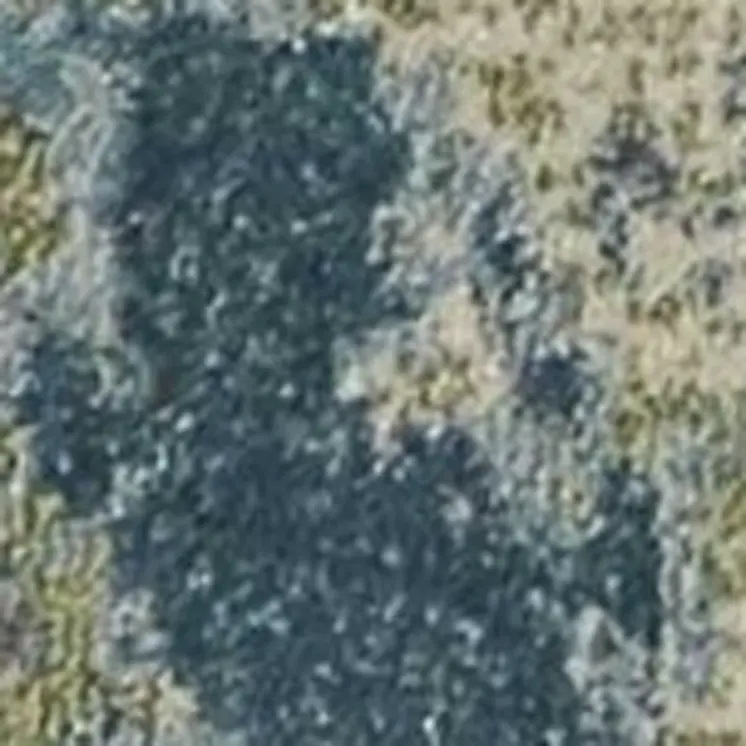 6' X 9' Blue And Green Abstract Area Rug