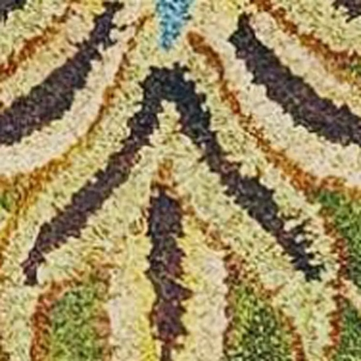 5' X 8' Green and Red Wool Floral Vines Hand Tufted Area Rug