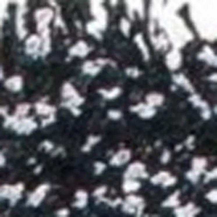 2' X 4' Black And White Shag Hand Woven Area Rug