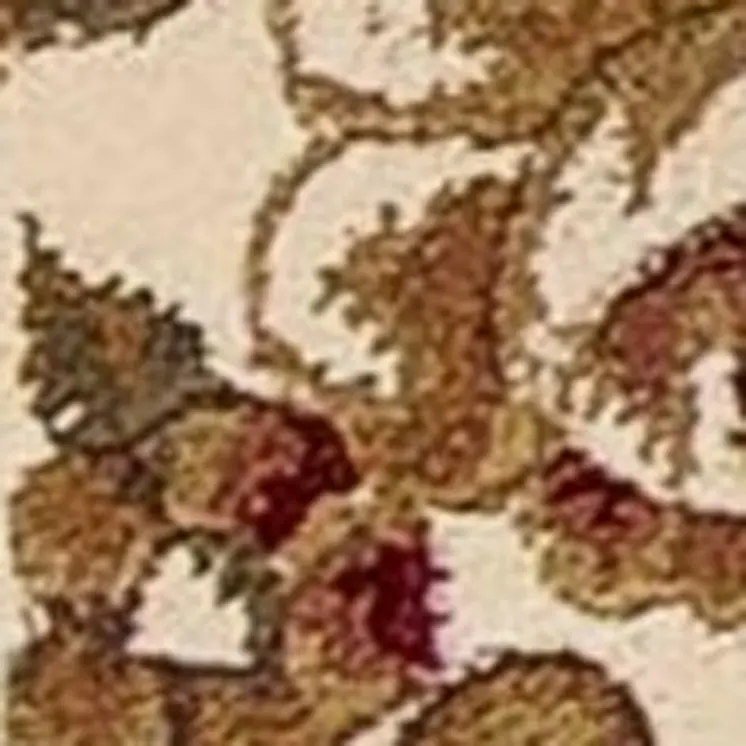 3' X 5' Green And Ivory Floral Medallion Area Rug