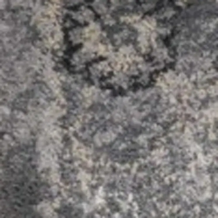 3' X 5' Gray Floral Area Rug